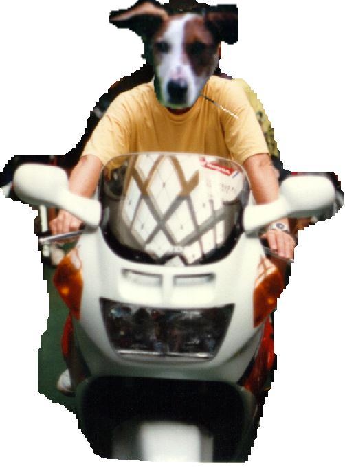 Chico auf dem Motorrad!